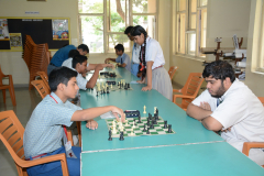 ADA-KNIGHT-–-CHESS
